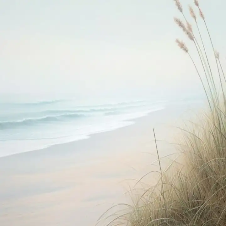 Dune grass above a pale empty beach at first light