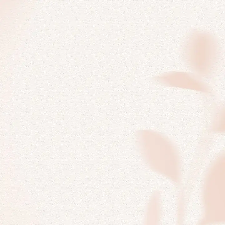 The shadow of a leaf falling on a cream wall