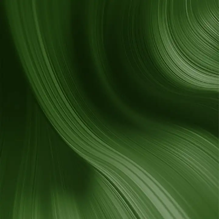 A dark green wave folding over itself