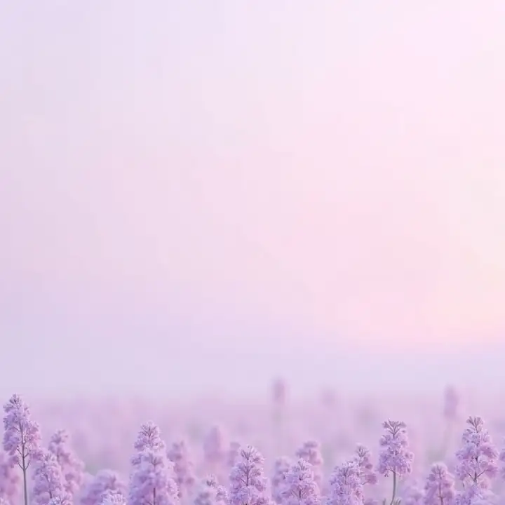 A lavender field seen through pale haze