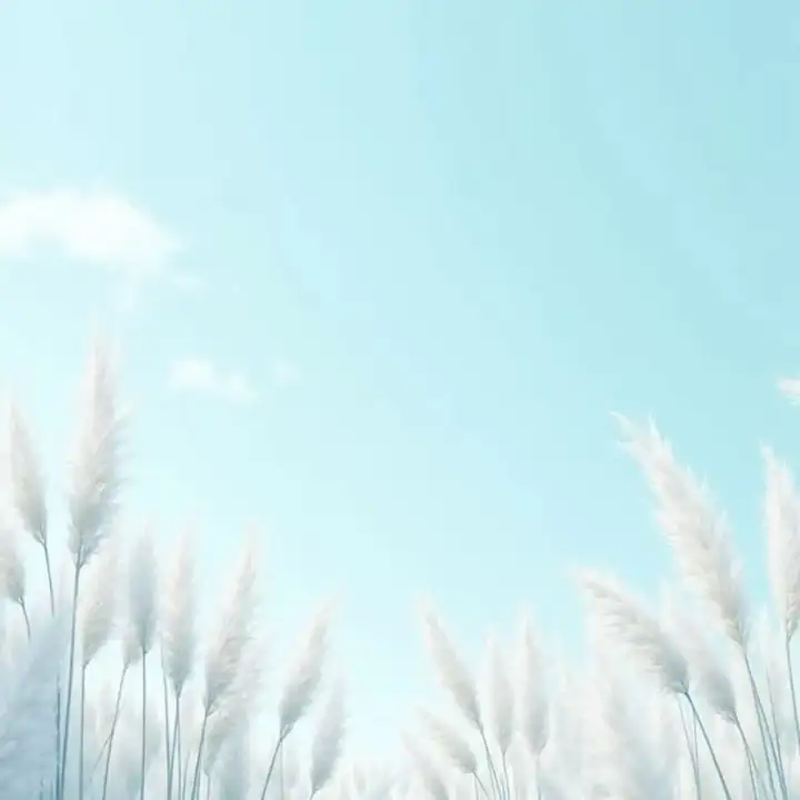 Pampas grass against a pale, almost white sky