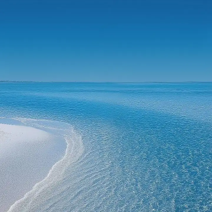 Turquoise water meeting a dark shore