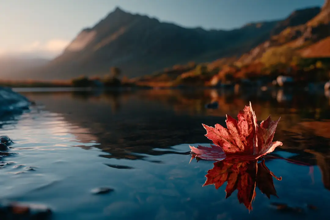 A red autumn leaf floating on a still mountain lake