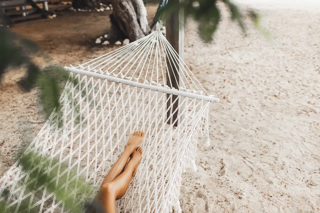 A person resting in a white hammock beneath trees