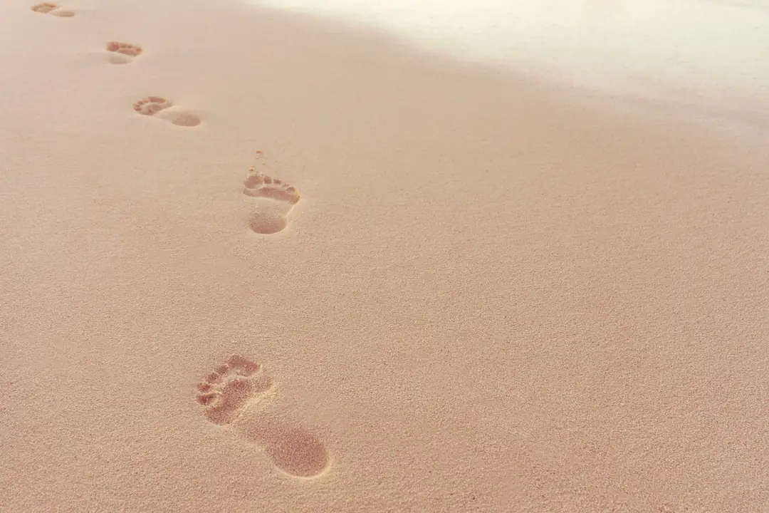 A trail of footprints across smooth pale sand