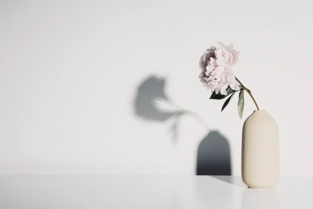 A drooping pale flower in a cream vase casting a soft shadow