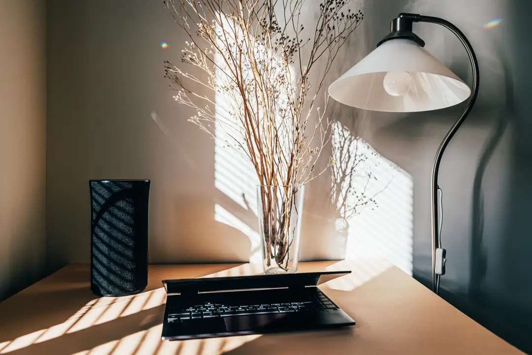 A sunlit desk with an open laptop, a lamp and a vase of dried grasses